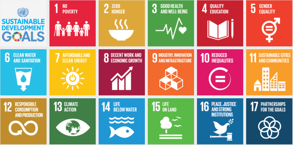 The 17 Sustainable Development Goals